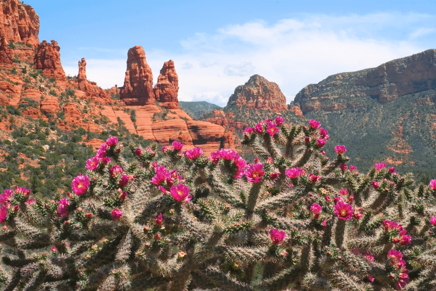 How to a Real Estate Agent in Arizona 5 Simple Steps